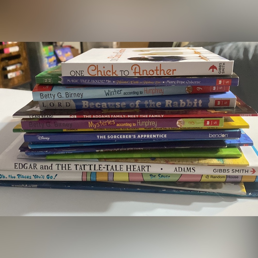 Bundle of kids books